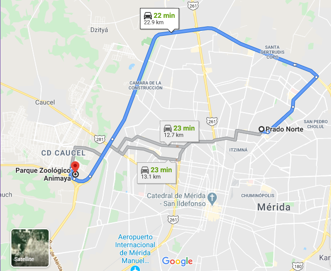 Directions from lodging to Parque Zoologico Animaya
